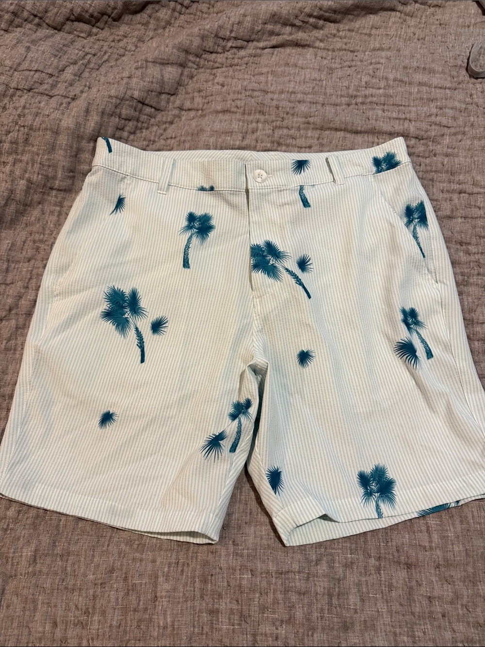 Puma Cream Shorts with Teal Palm Print 6